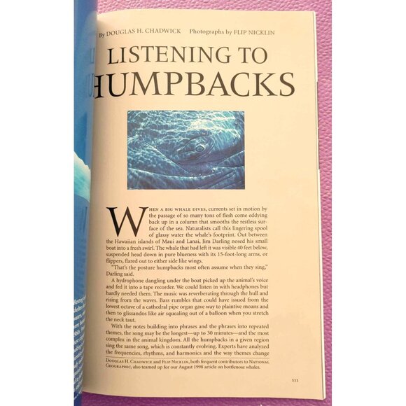 National Geographic Magazine July 1999 Iran Issue Testing Waters Of Reform Photo - Picture 7 of 7